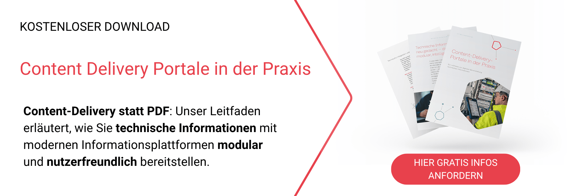 Störer_Whitepaper_CDP