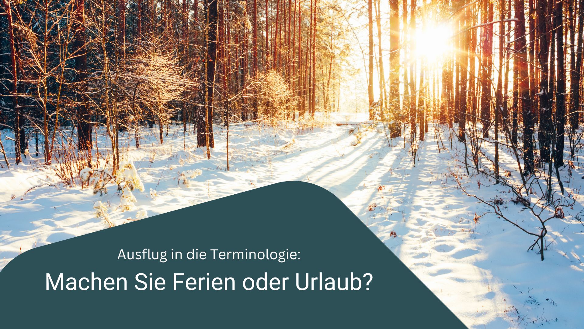 Ein kleiner Ausflug in die Terminologie – Part II