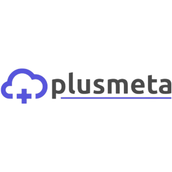 Logo plusmeta