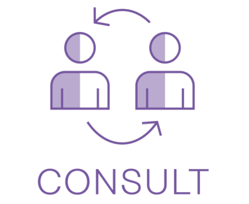CONSULT