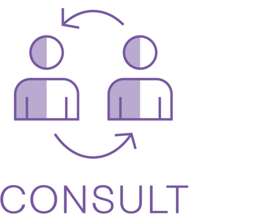 Consulting for better information processes